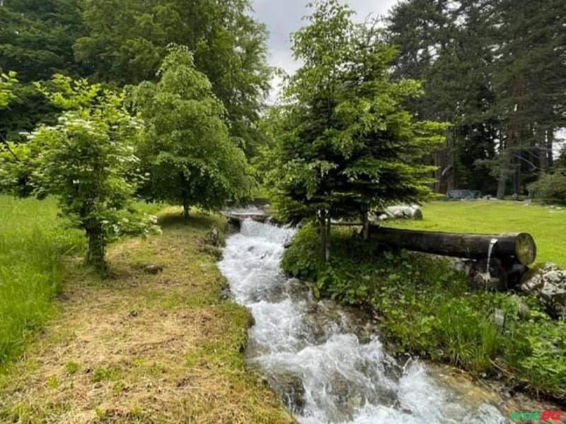 Вила Беатрис, Разлог