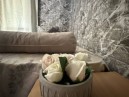 Бунгала Виктори, Шкорпиловци 6