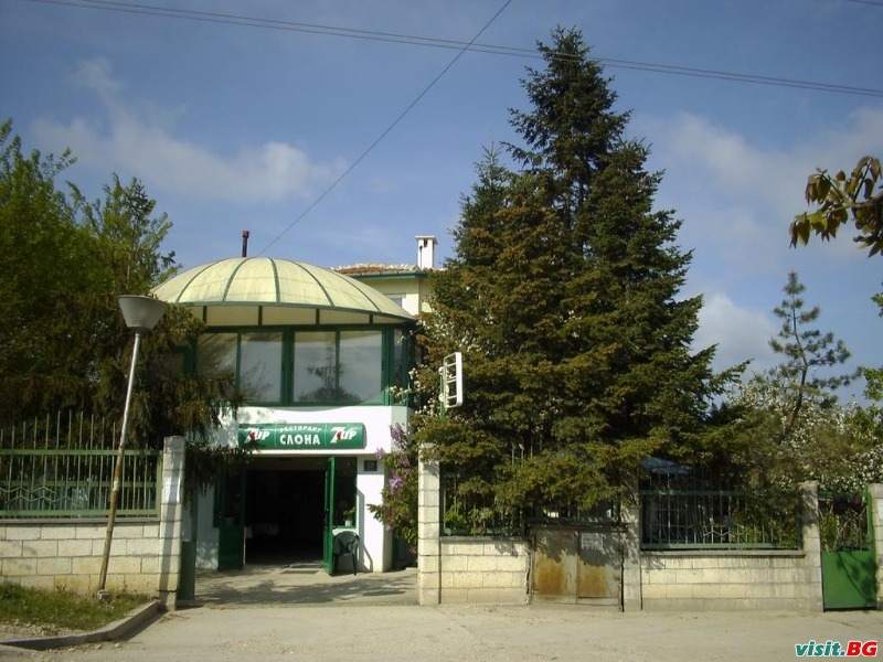 Самостоятелни стаи Слона, Варна 3