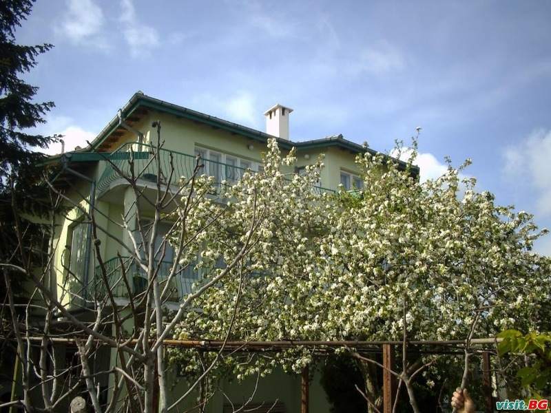 Самостоятелни стаи Слона, Варна 2