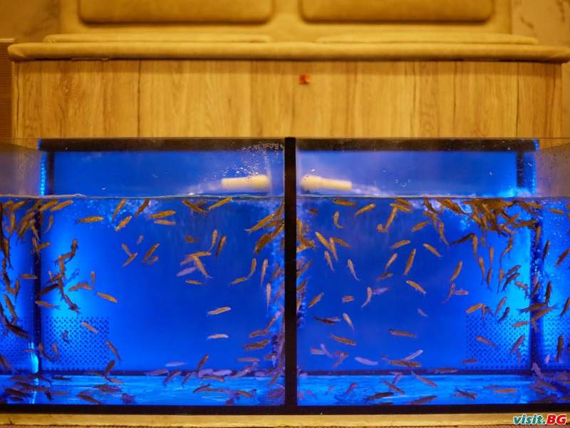 Гранд хотел Велинград, Велинград 10