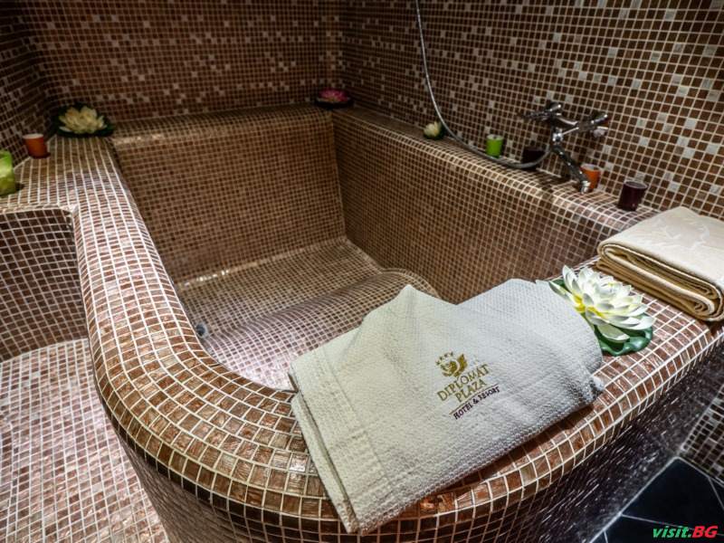 Хотел Дипломат Плаза, Луковит 23