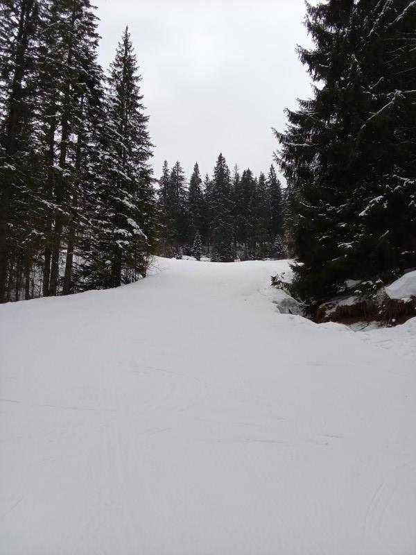 На ски в Пампорово, Автор Геновева